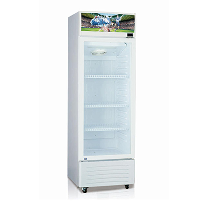 VSC-300